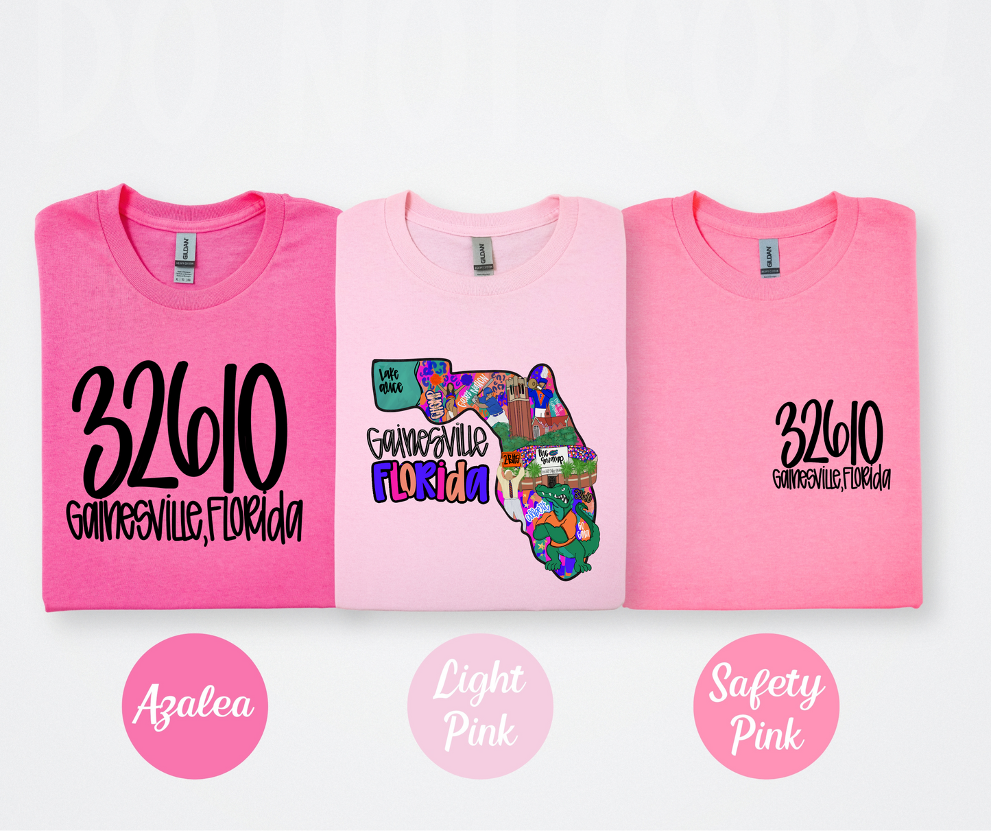 Gainesville Florida (full color STATE image ONLY)-DTF