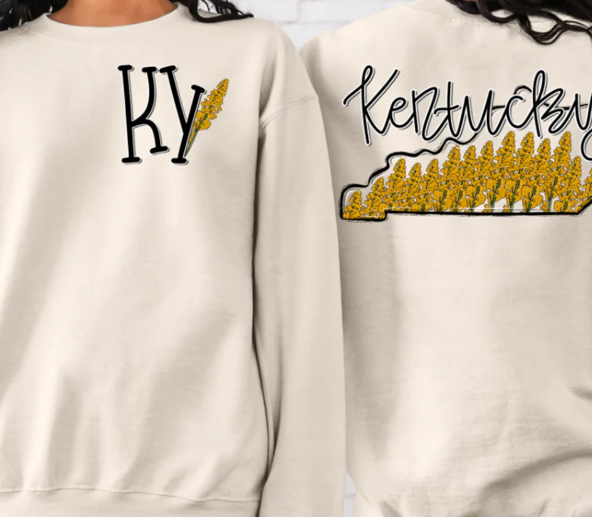 Whimsy States BACK (dropdown)-DTF