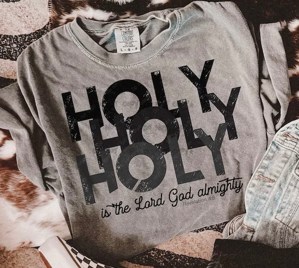 Holy holy holy is the Lord God almighty -DTF