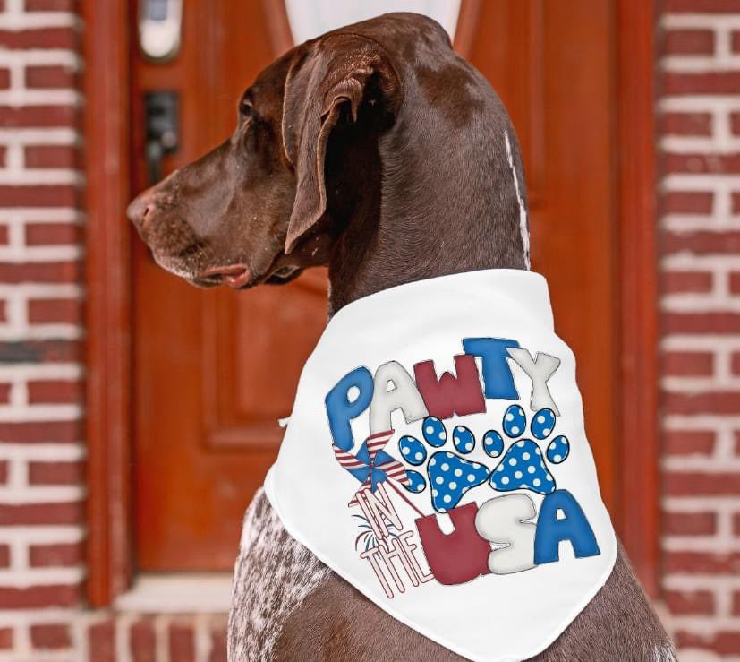 Pawty in the USA-DTF