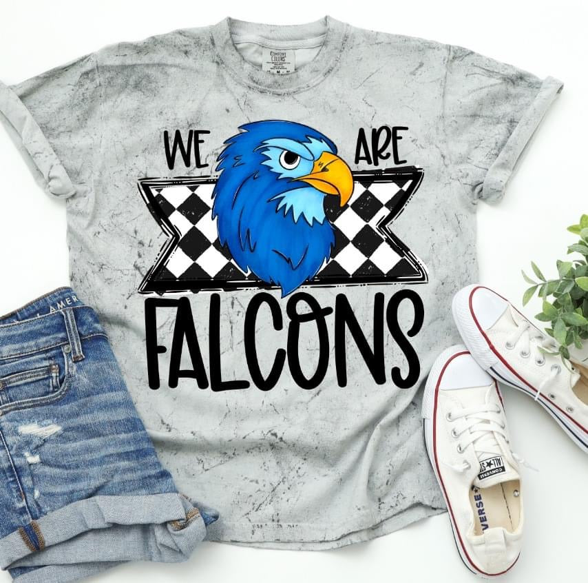 We are Falcons (blue bird) - DTF