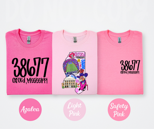 Oxford Mississippi (full color STATE image ONLY)-DTF