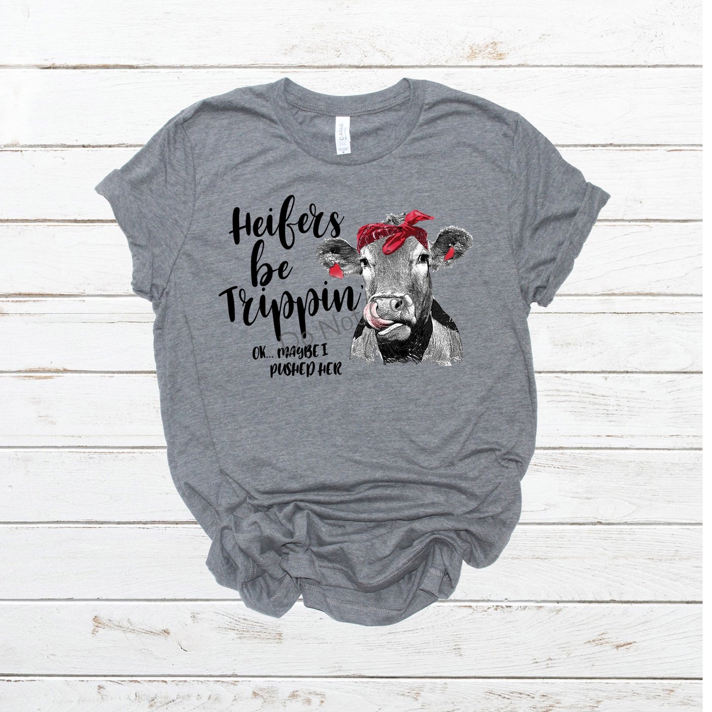 Heifers be trippin…ok maybe I pushed her- DTF