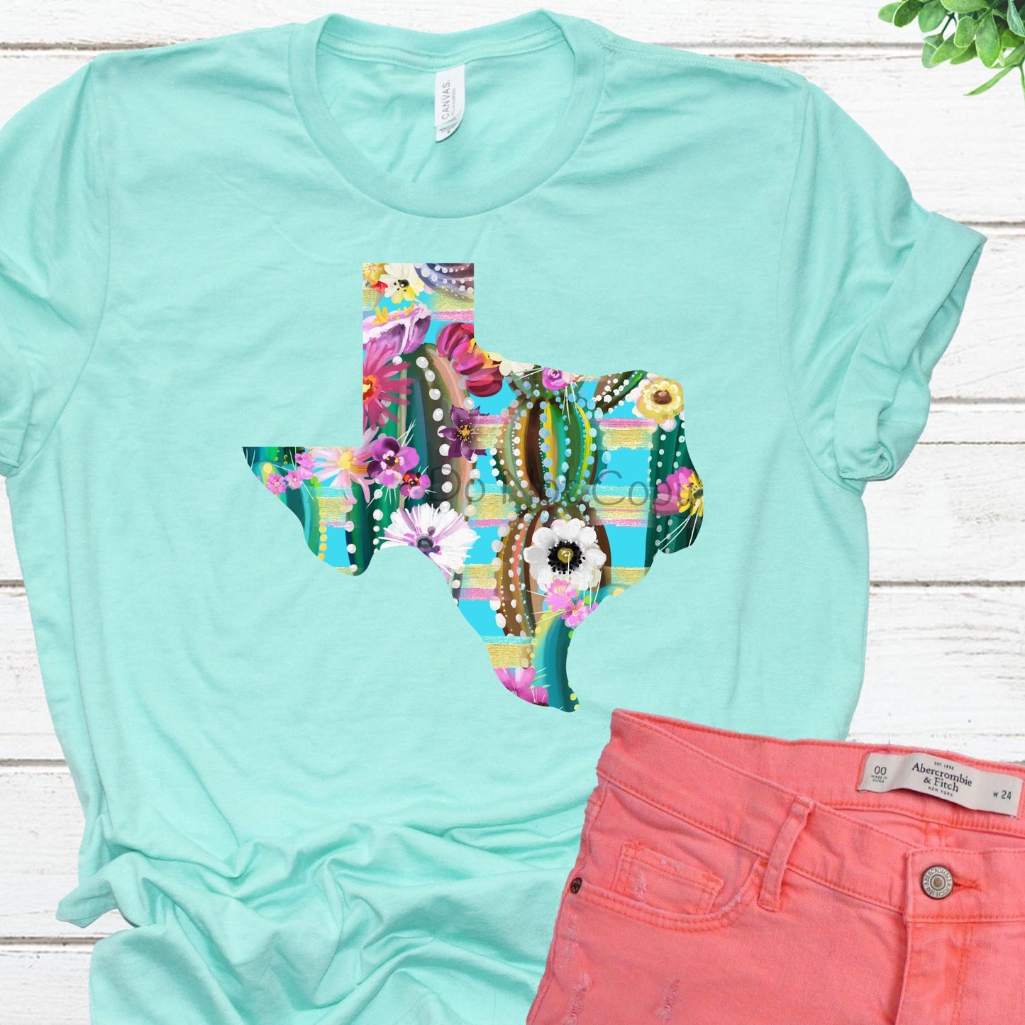 Texas cactus flowers-DTF