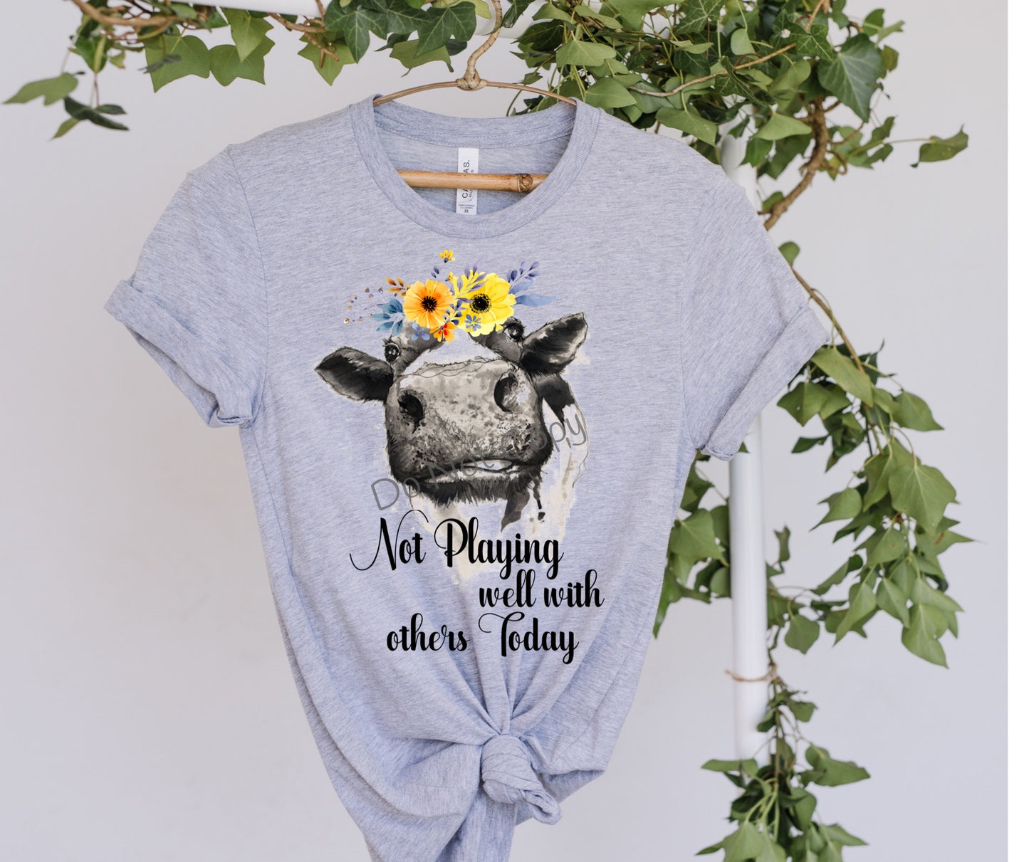 Not playing well with others today -DTF