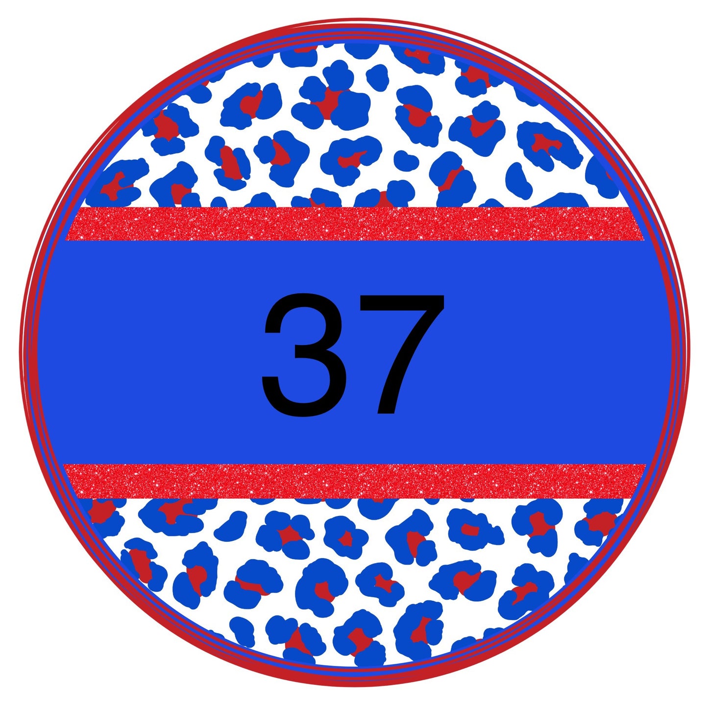 Multi colored leopard circle custom-DTF