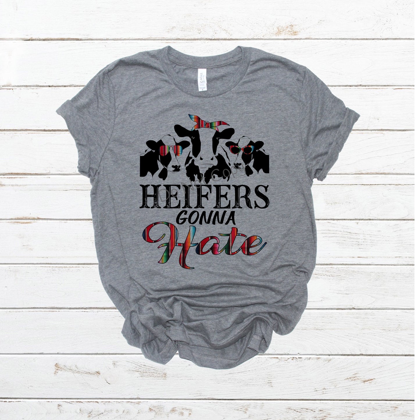 Heifers gonna hate -serape- DTF