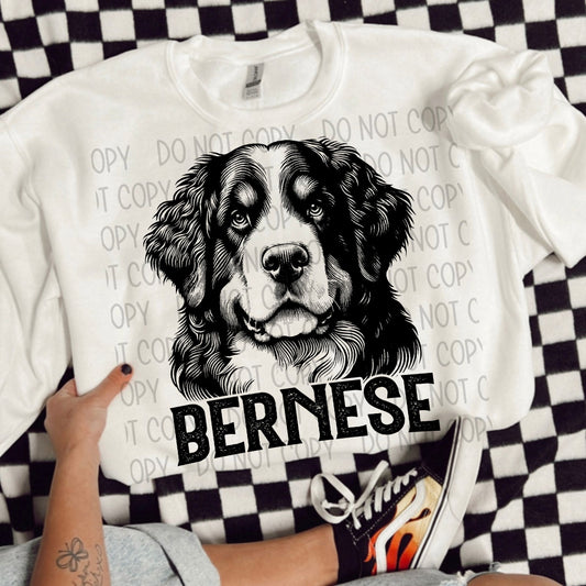 Bernese Portrait - DTF