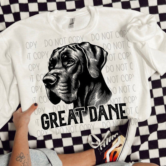 Great Dane Portrait - DTF