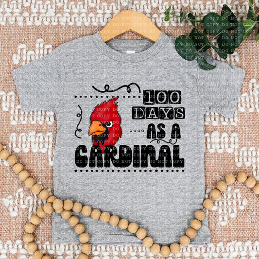 100 Days As A Cardinal - DTF