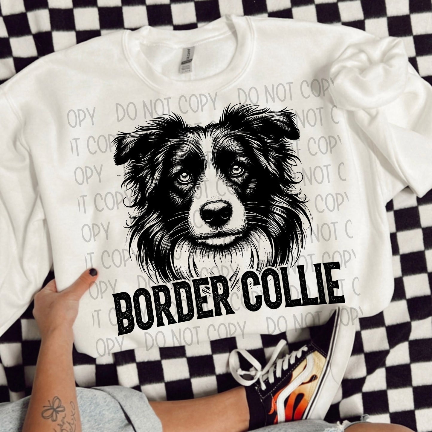 Border Collie Portrait - DTF