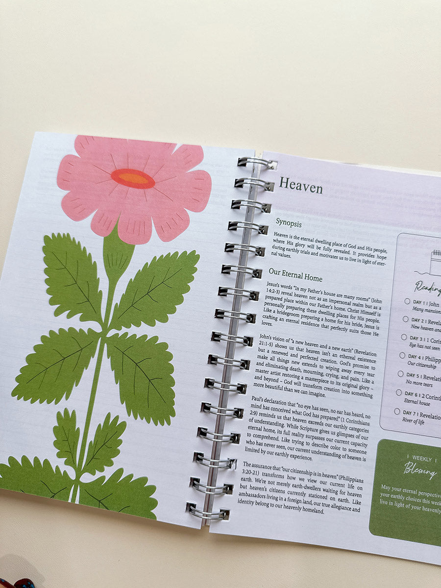 A Year in the Bible Notebooks