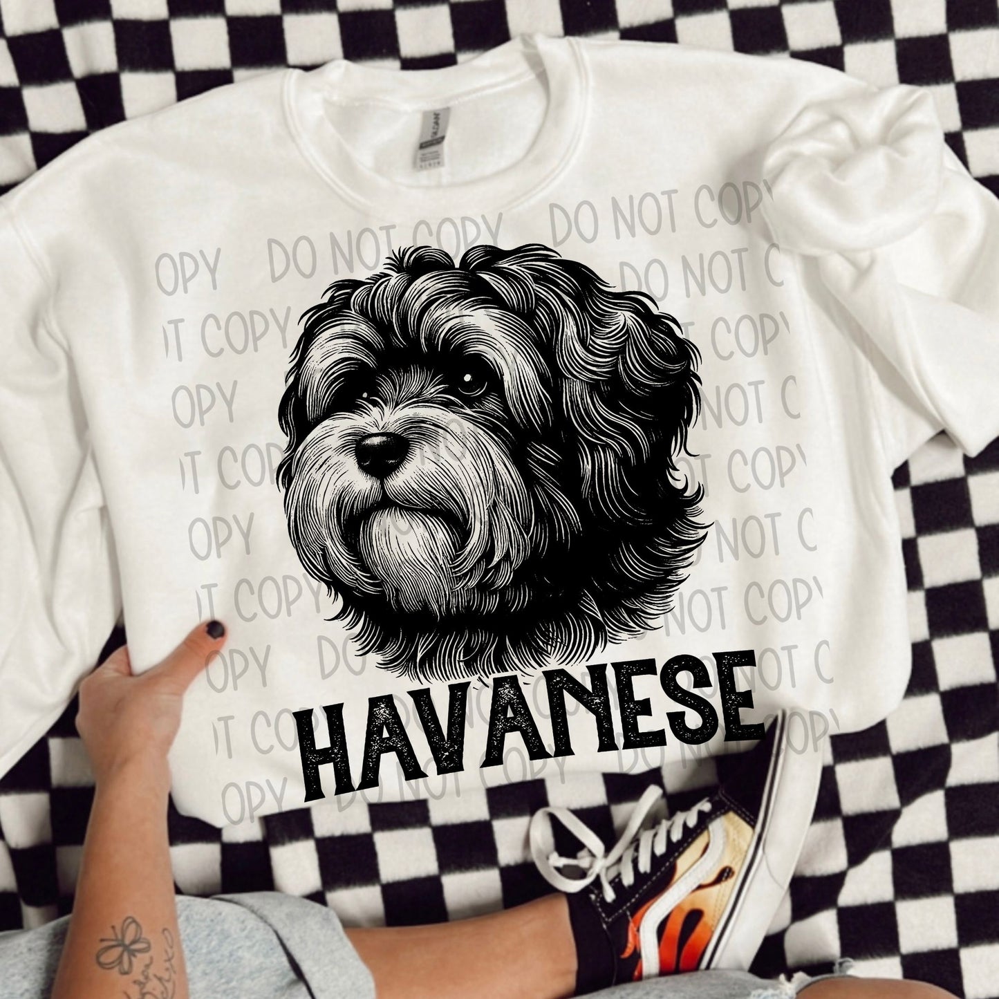 Havanese Portrait - DTF