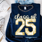 Class of 2025 Toile(all in dropdown)-DTF