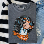Faux Sequin Mascots(dropdown)- DTF&UV
