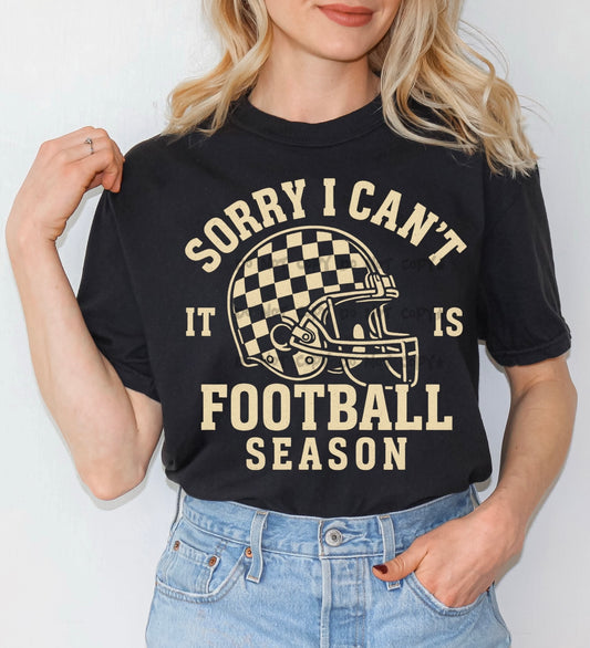 Sorry I can’t it is football season - DTF DEAL