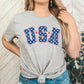 USA blue stars-DTF