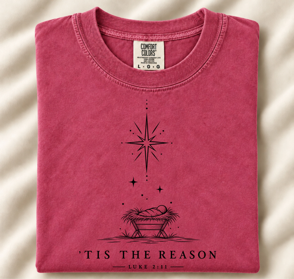 Tis The Reason-DTF