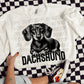 Short Hair Dachshund Portrait - DTF