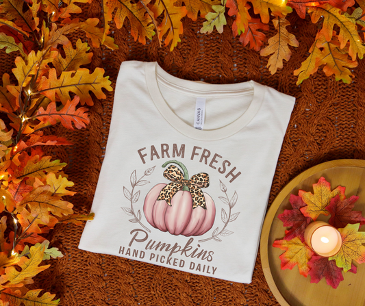 Farm fresh pumpkin-DTF