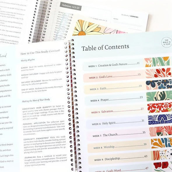 A Year in the Bible Notebooks