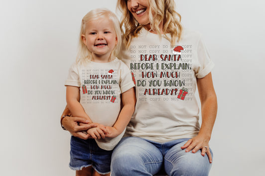 Dear Santa Before I Explain How Much Do You Know Already -DTF