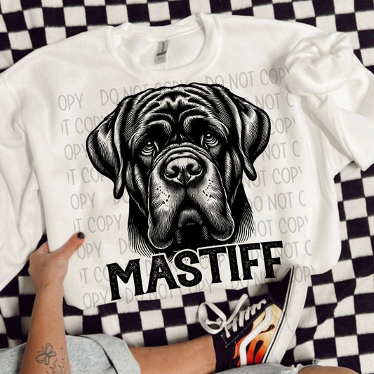 Mastiff Portrait - DTF