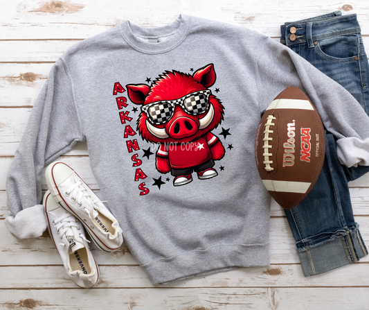 Arkansas mascot sunglasses-DTF