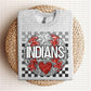 Baseball Mascots Faux Embroidery Checkered Sequins -DTF