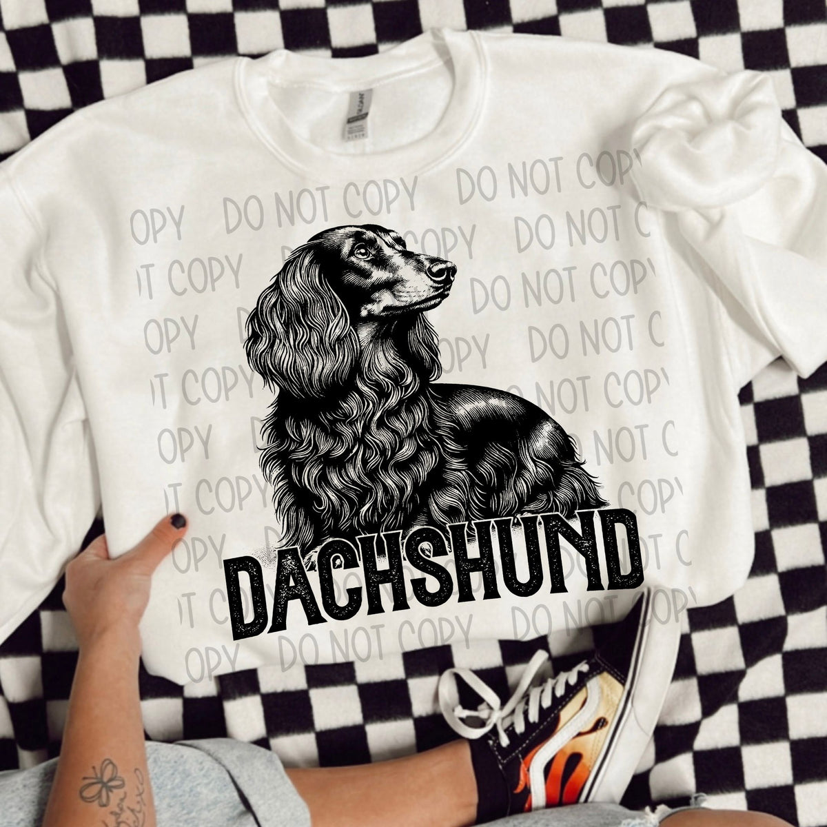 Long Hair Dachshund Portrait - DTF