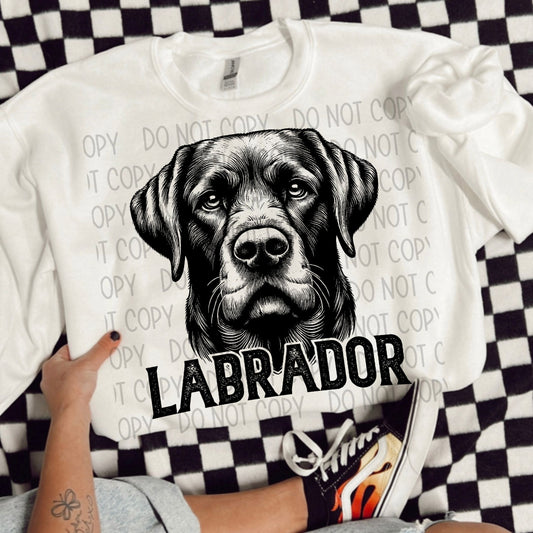 Labrador Portrait - DTF
