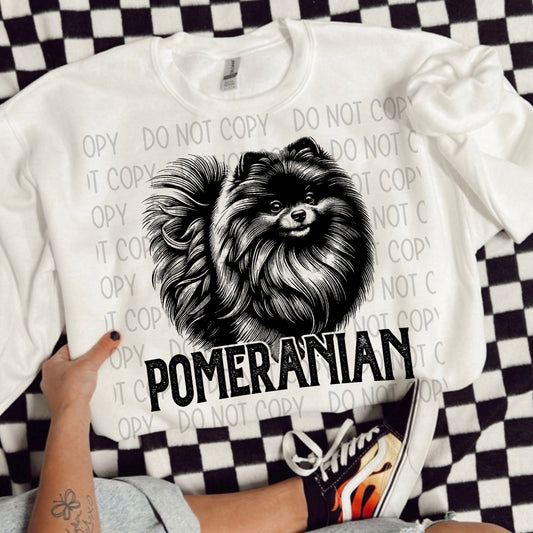 Pomeranian Portrait - DTF