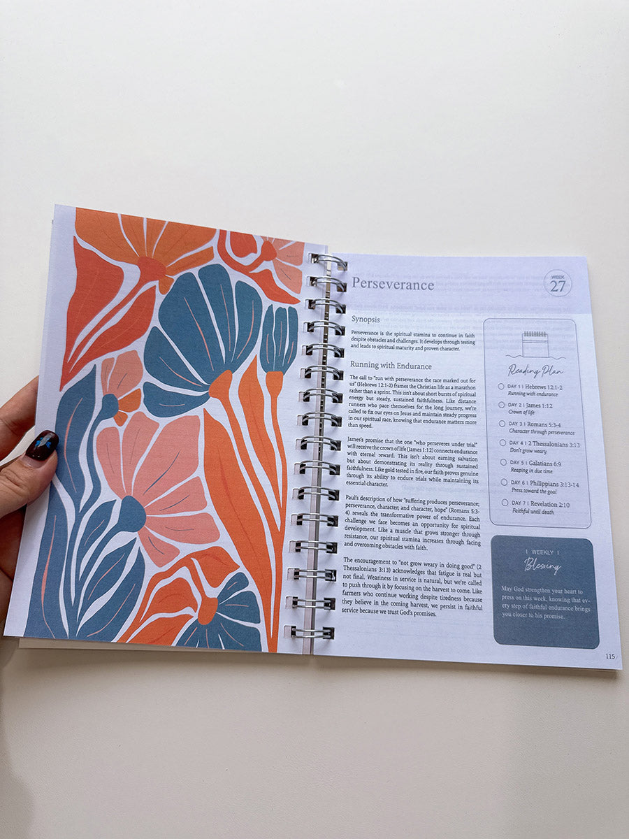 A Year in the Bible Notebooks