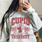 Cupid university-DTF