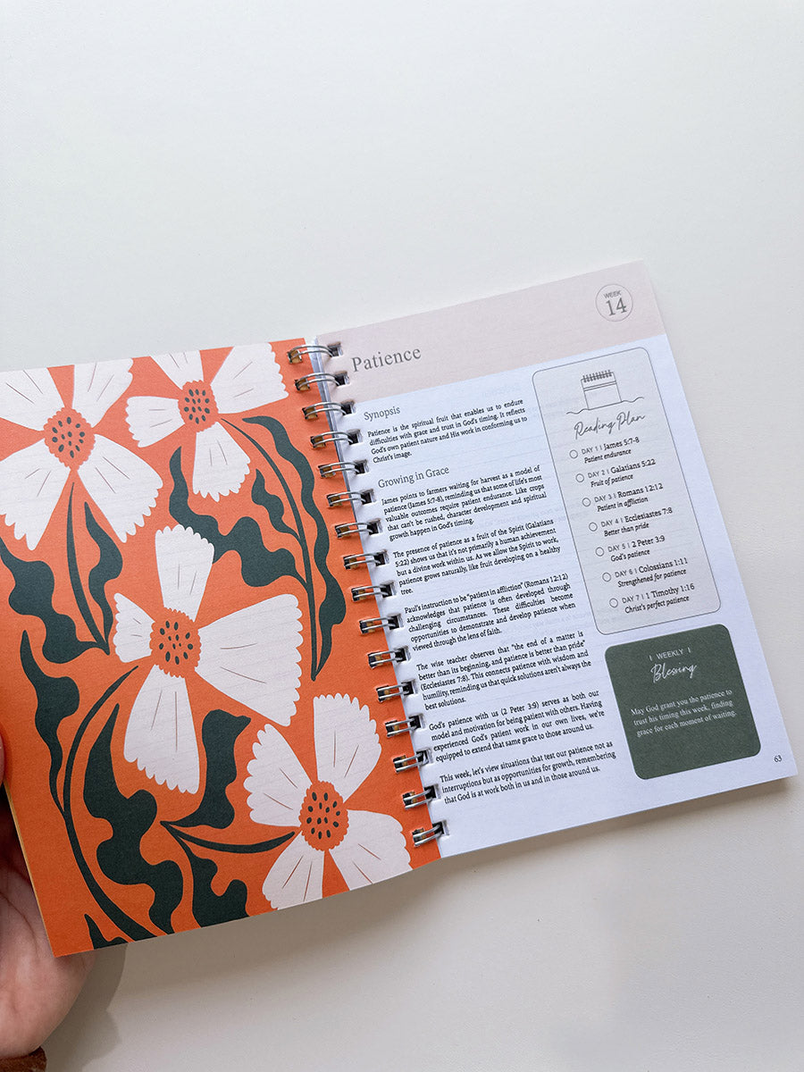 A Year in the Bible Notebooks