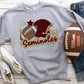 Seminoles football stitched-DTF