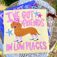 I've got friends in low places dachshund -DTF&UV