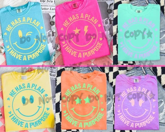 He has a plan I have a purpose (Six Color Options) -DTF&UV