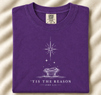 Tis The Reason-DTF