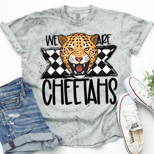 We are Cheetahs - DTF