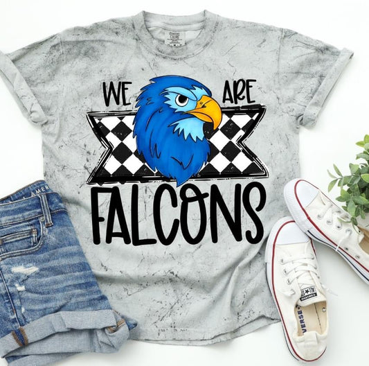 We are Falcons (blue bird) - DTF