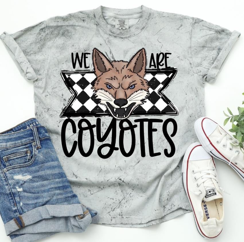 We are coyotes - DTF