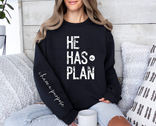 He Has A Plan I Have a Purpose (FRONT OF SHIRT & SLEEVE COMBO)-DTF