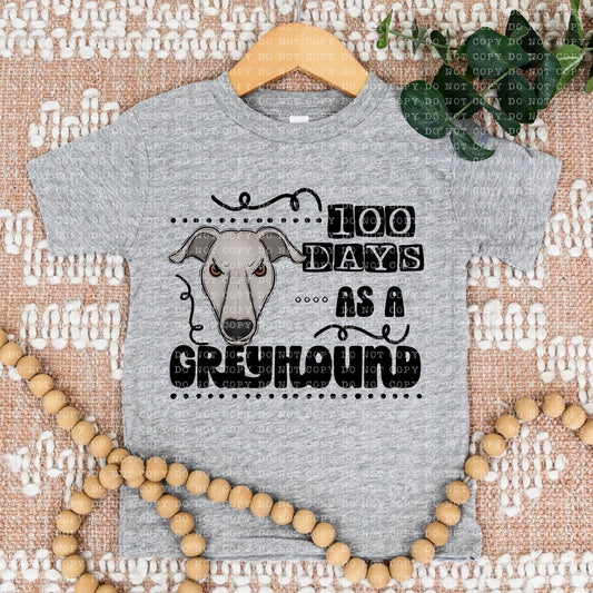 100 Days As A Greyhound - DTF
