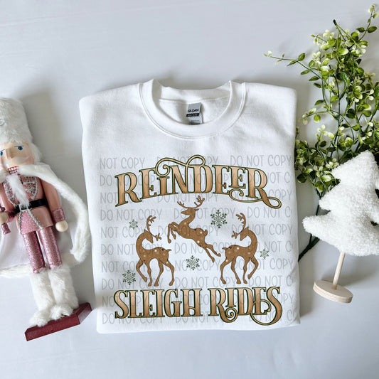 Reindeer Sleigh Rides-DTF