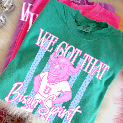 We got that Spirit Mascots (dropdown)-  DTF&UV