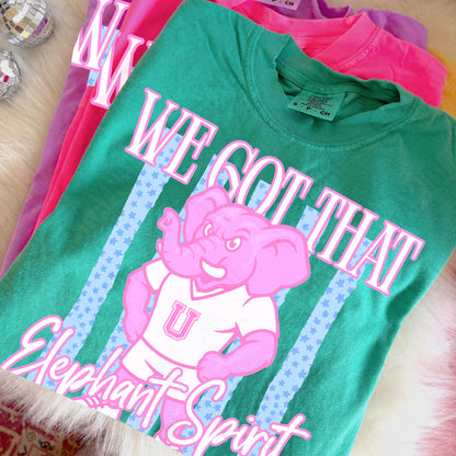 We got that Spirit Mascots (dropdown)-  DTF&UV