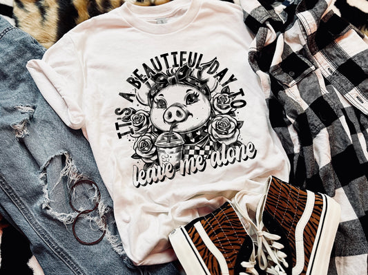 Its a beautiful day-DTF