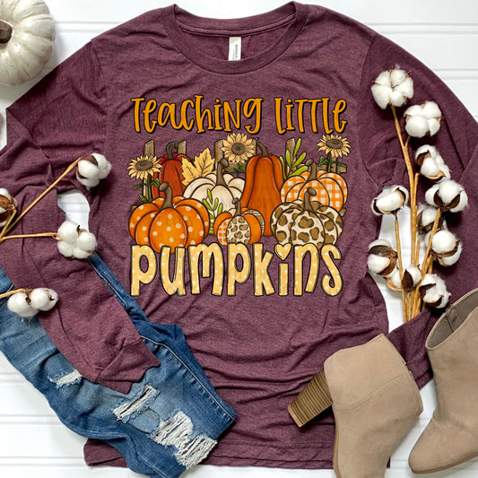 Teaching little Pumpkins-DTF