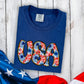 USA with bursts-DTF&UV